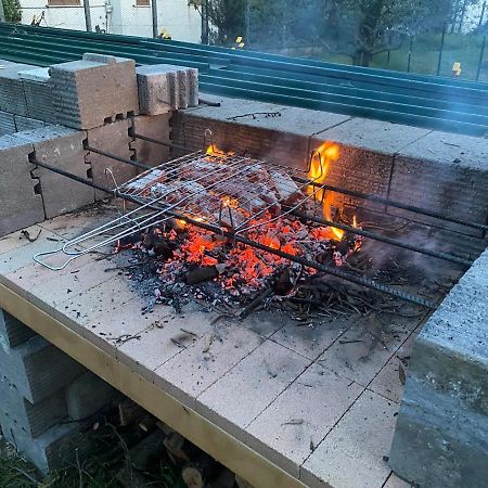 Villetta Degli Ulivi Santa Rufina Eksteriør billede